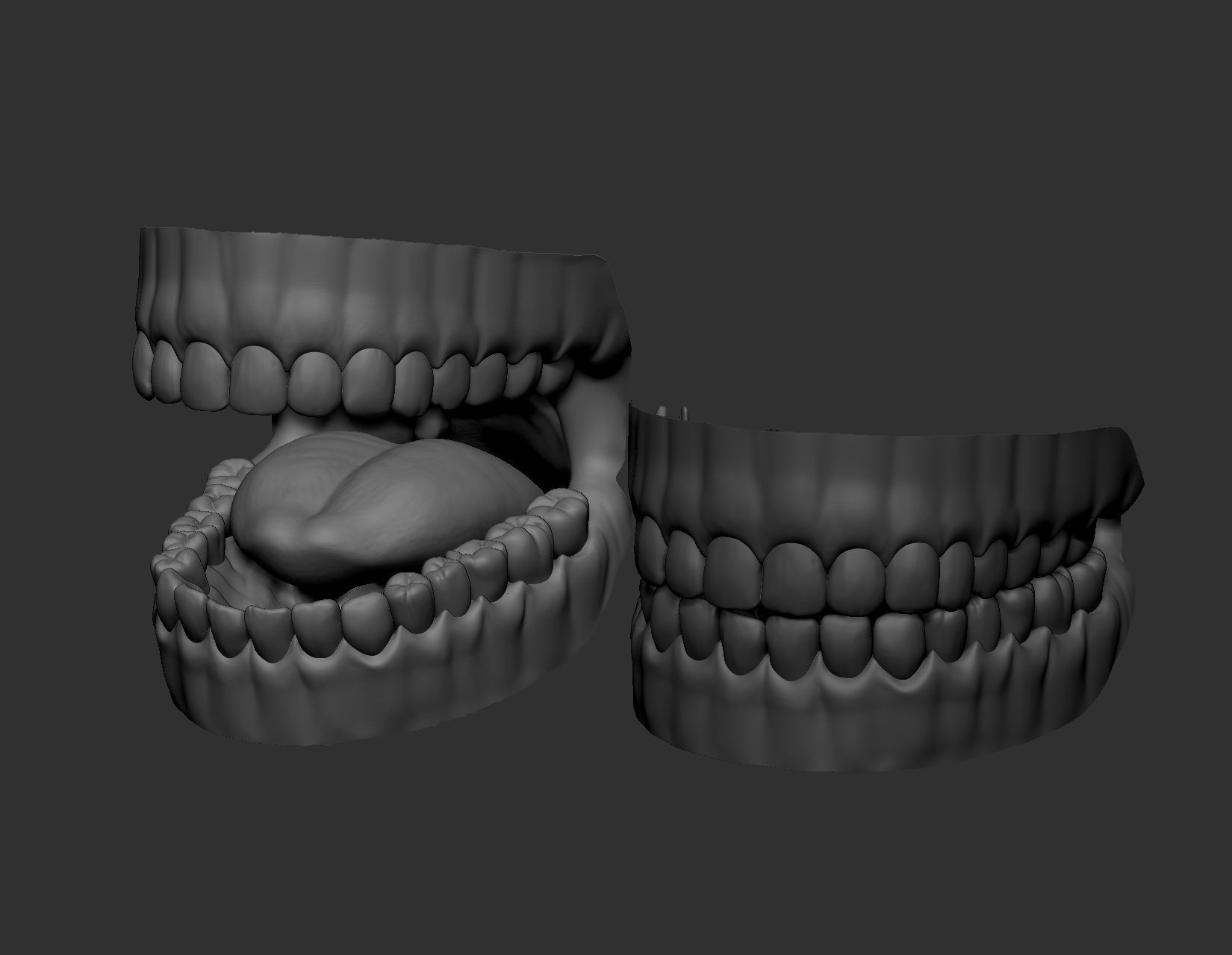 Teeth Sculpt  Free 3D model_2
