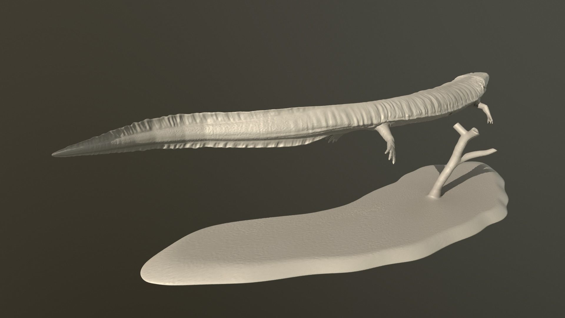 Greererpeton lizard 3D print model_5