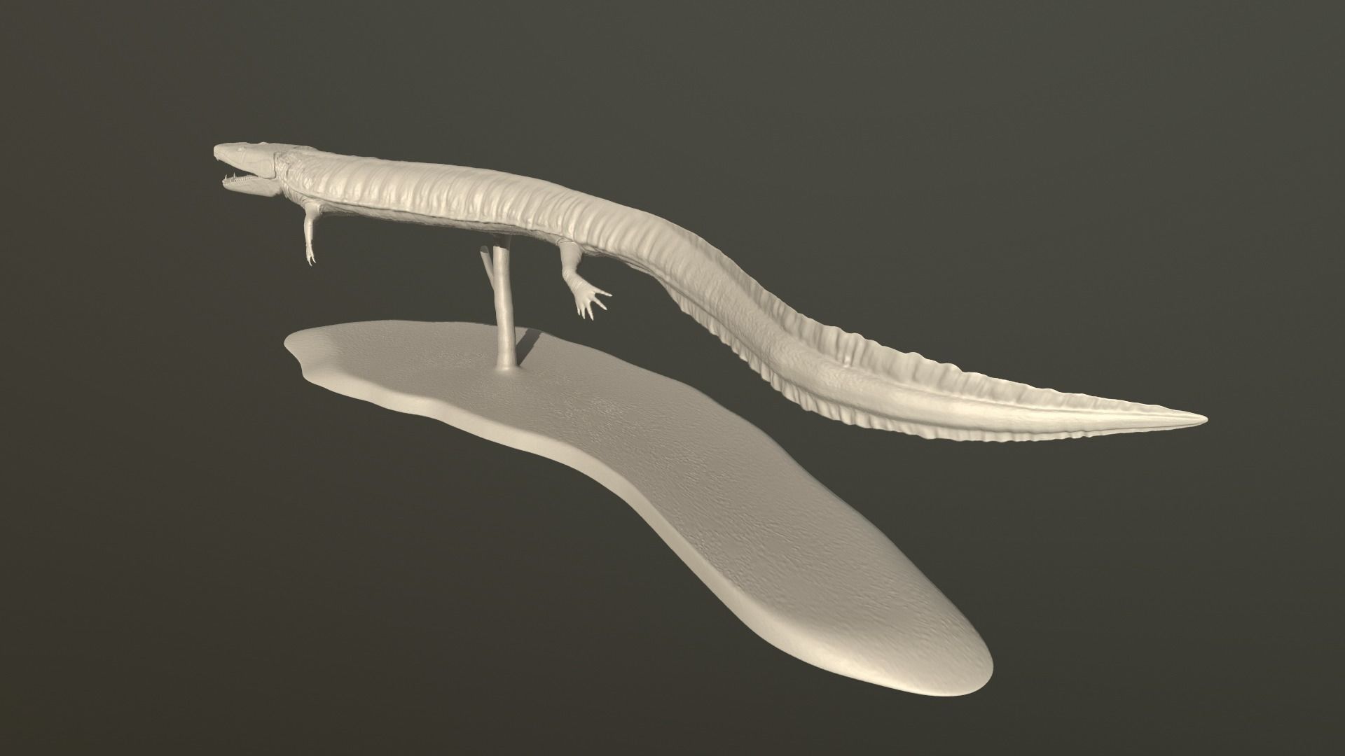 Greererpeton lizard 3D print model_12
