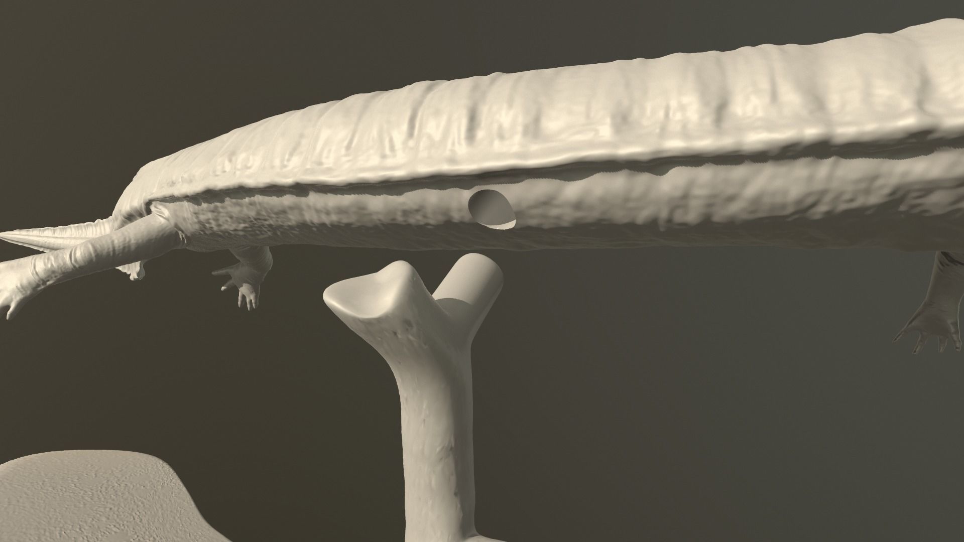 Greererpeton lizard 3D print model_10