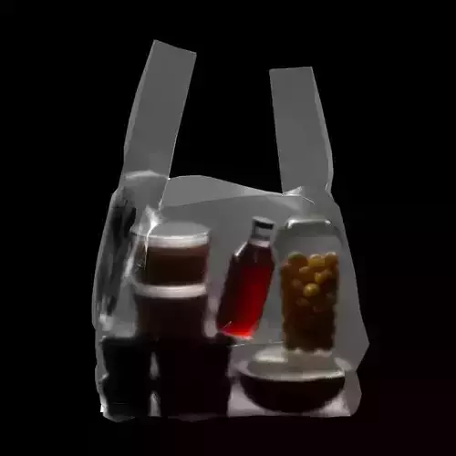 Plastic Bag 3D model 3D model