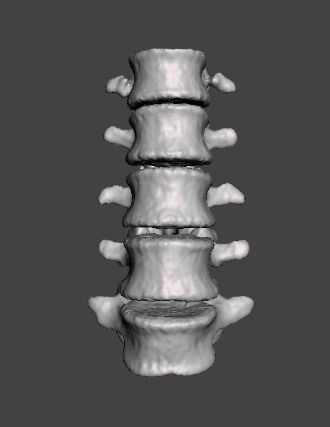 Lumbar Vertebrae  - female - age 30 3D model_12