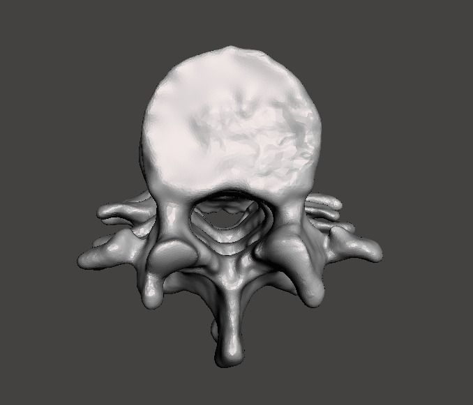 Lumbar Vertebrae  - female - age 30 3D model_13