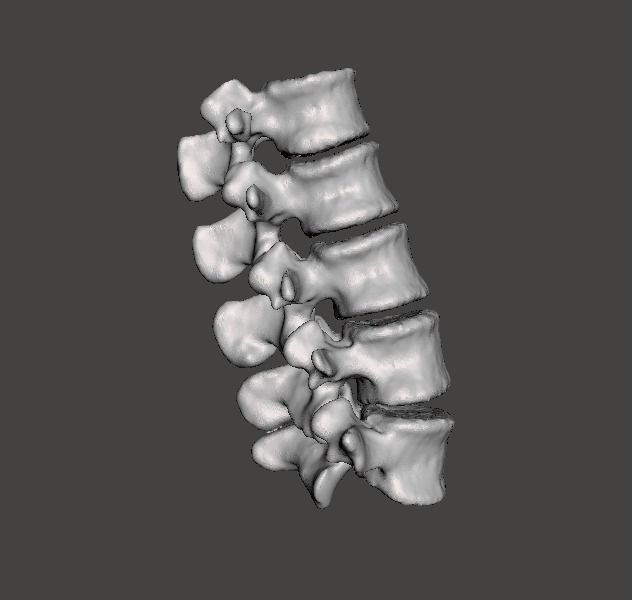 Lumbar Vertebrae  - female - age 30 3D model_11
