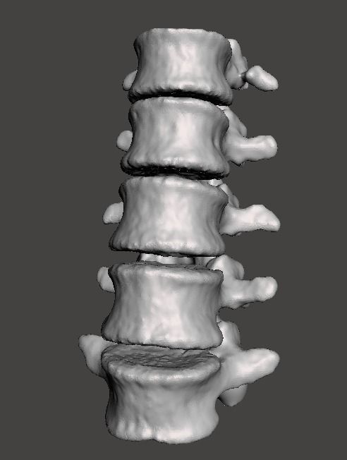 Lumbar Vertebrae  - female - age 30 3D model_1