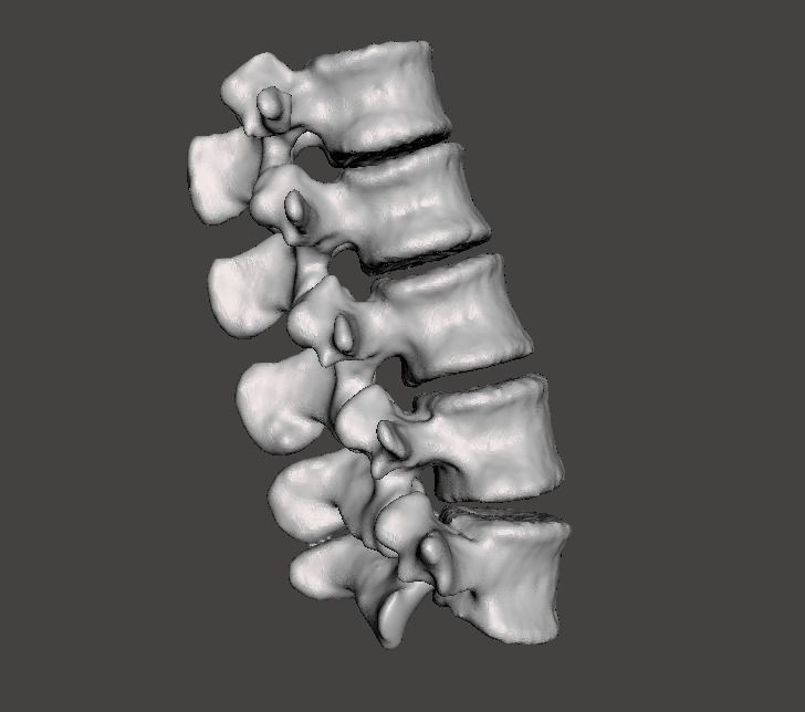 Lumbar Vertebrae  - female - age 30 3D model_7