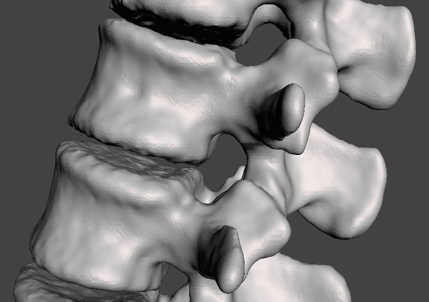 Lumbar Vertebrae  - female - age 30 3D model_6