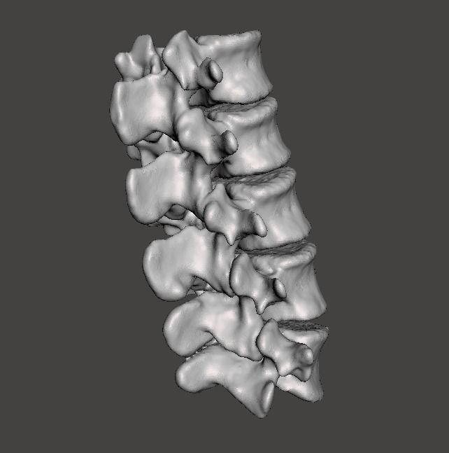 Lumbar Vertebrae  - female - age 30 3D model_8