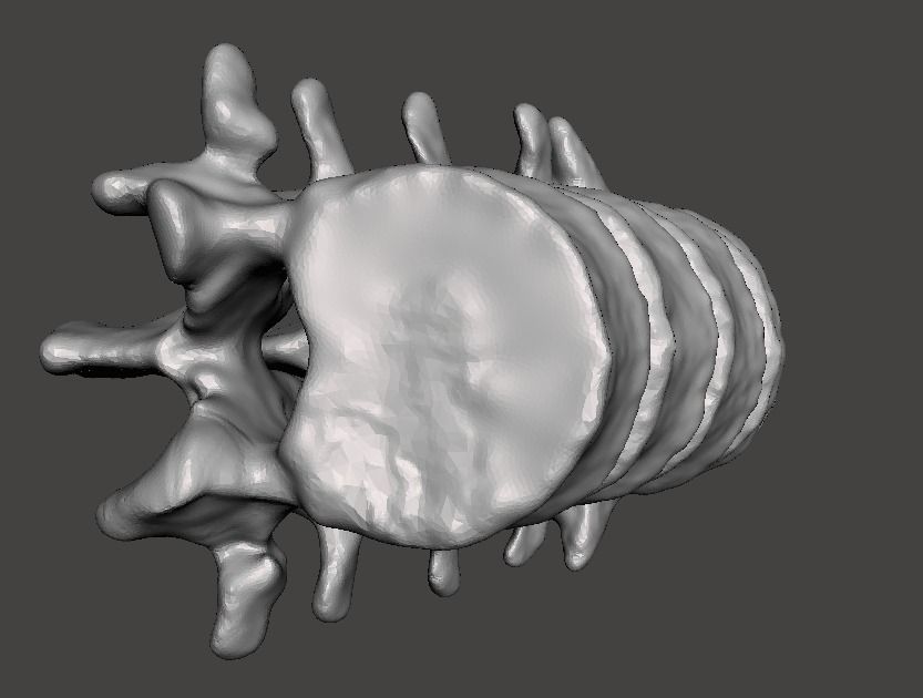 Lumbar Vertebrae  - female - age 30 3D model_5