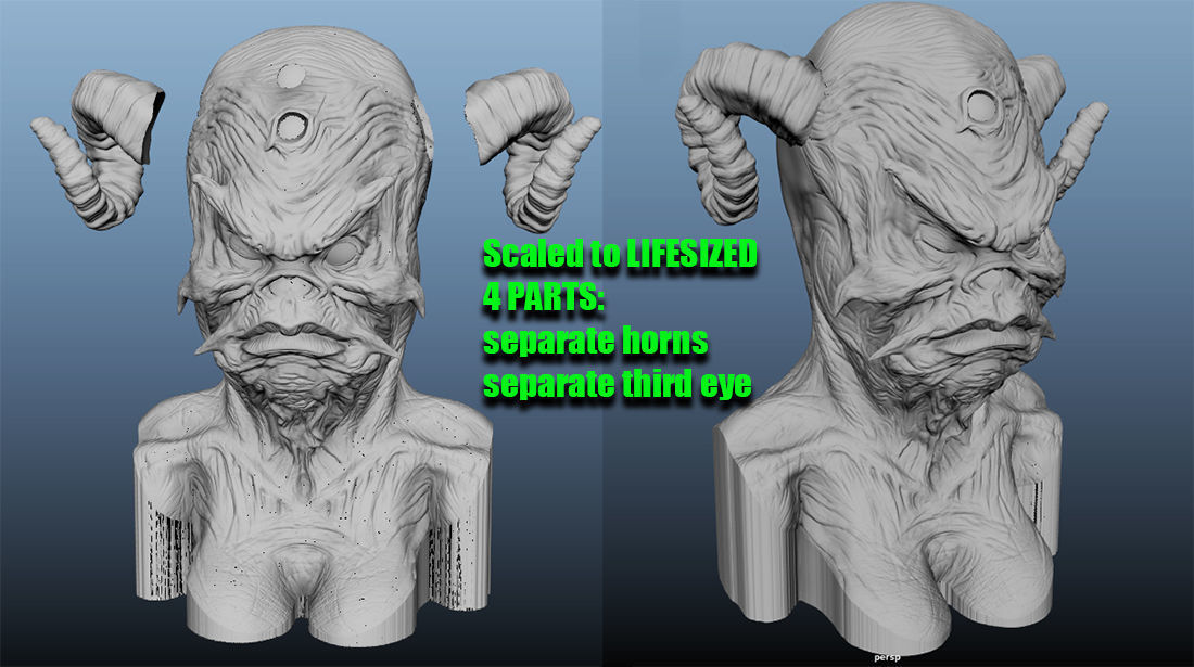 The DARK CRYSTAL Aughra Bust for 3D printing 3D print model_3