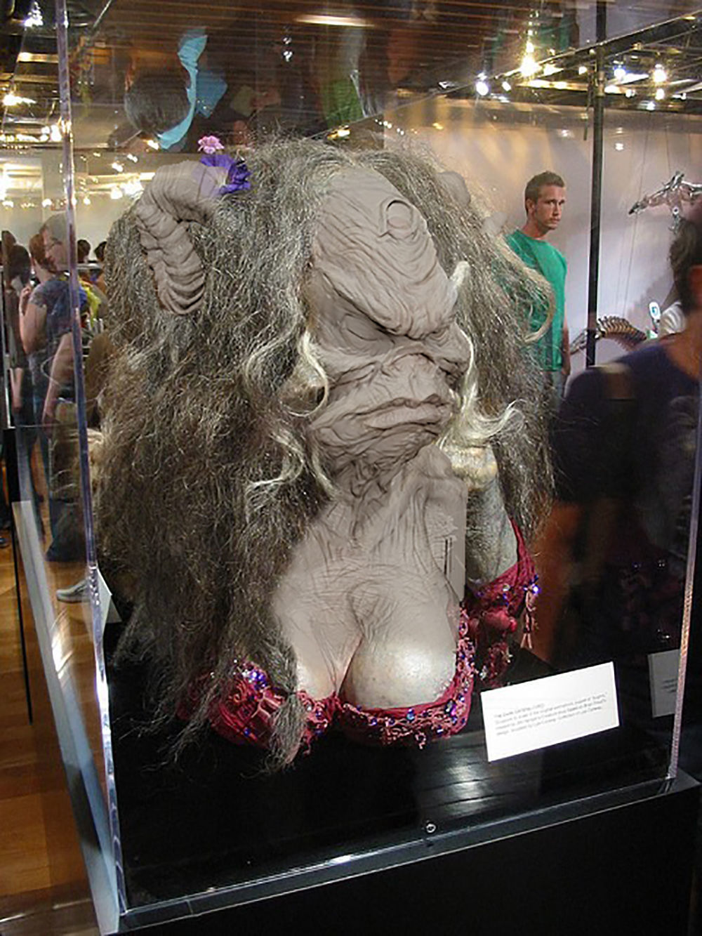 The DARK CRYSTAL Aughra Bust for 3D printing 3D print model_5