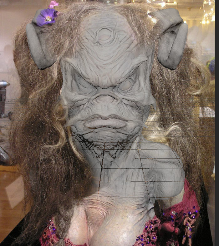 The DARK CRYSTAL Aughra Bust for 3D printing 3D print model_4