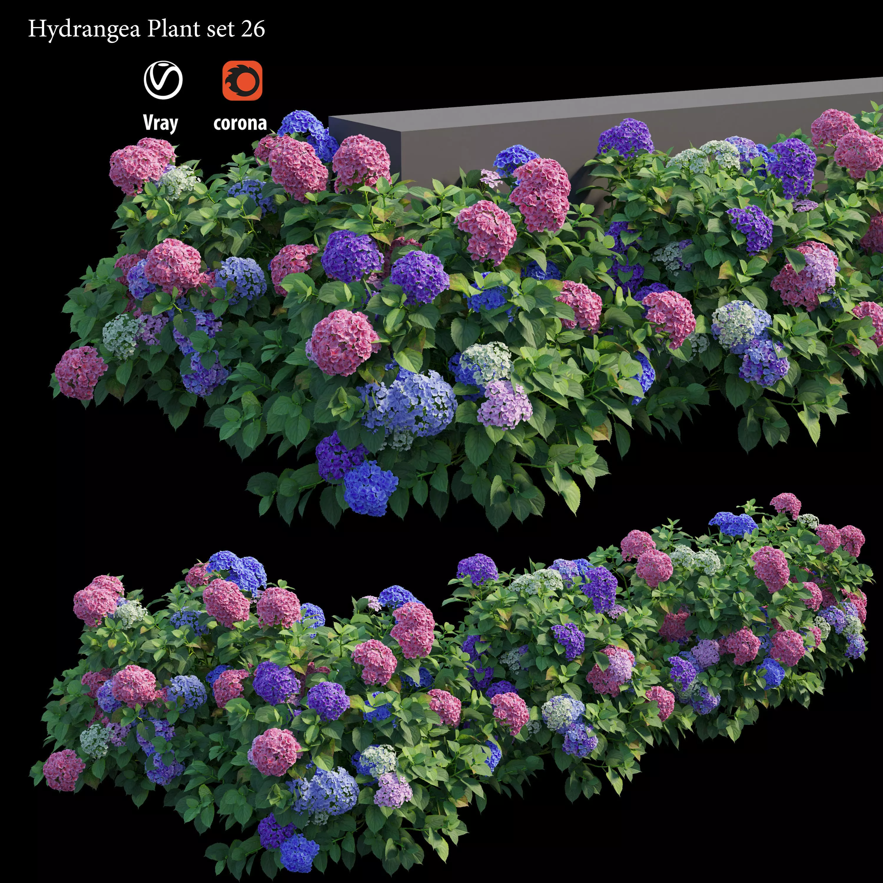 Hydrangea Plant set 26 3D model
