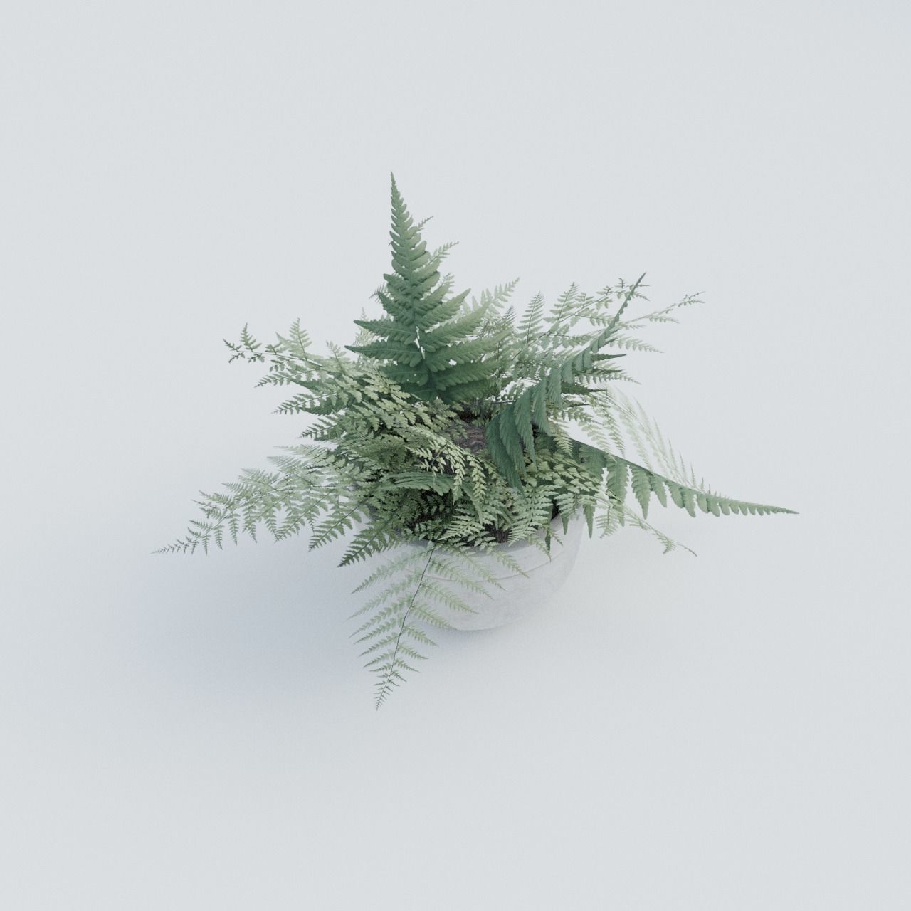Plant Pack 1 Low-poly 3D model_7
