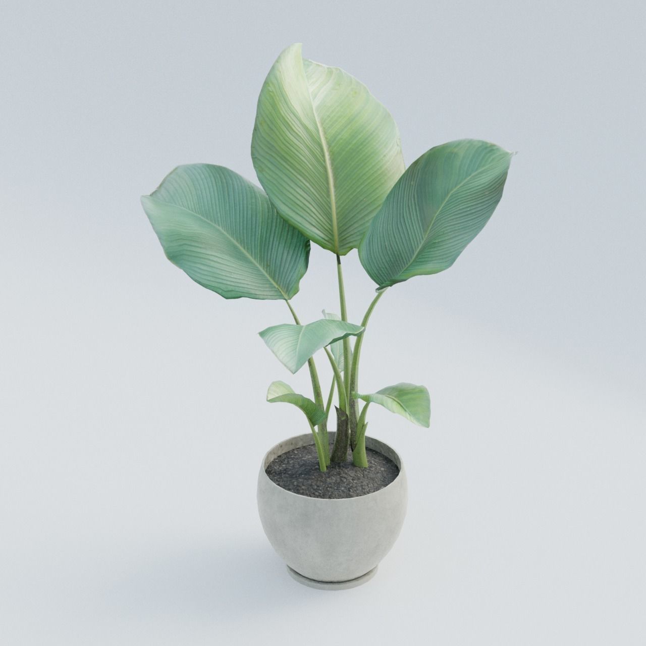 Plant Pack 1 Low-poly 3D model_3