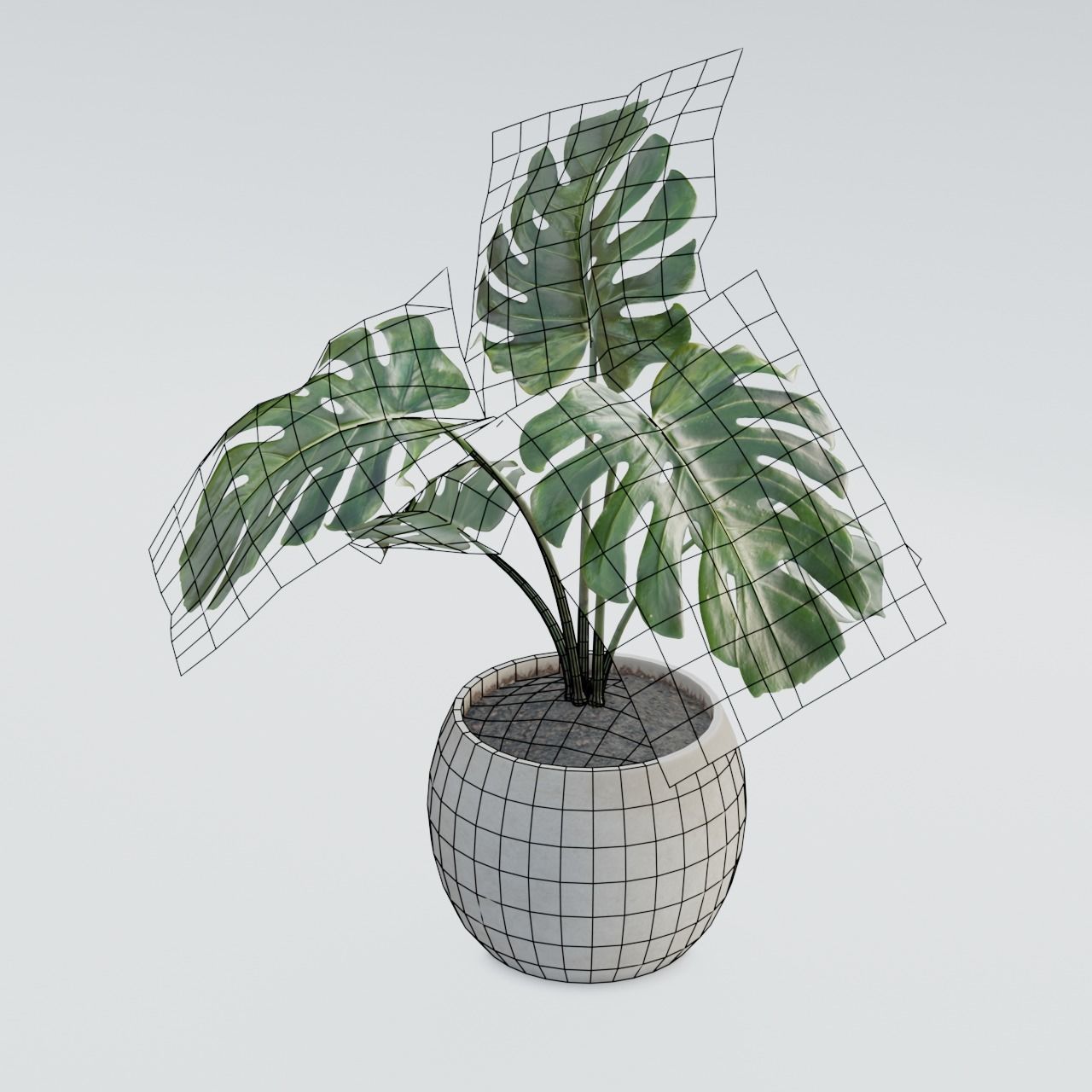 Plant Pack 1 Low-poly 3D model_12
