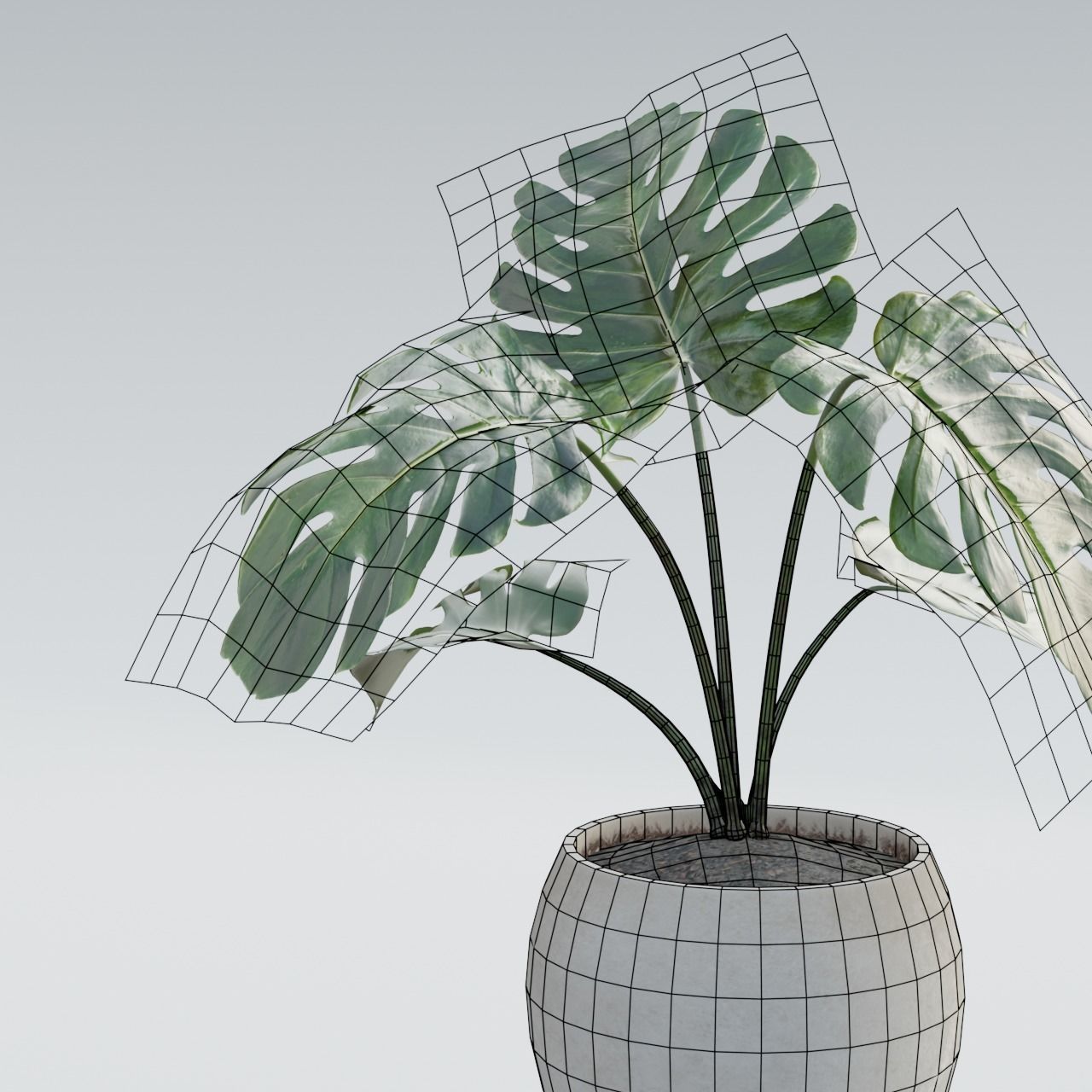 Plant Pack 1 Low-poly 3D model_13