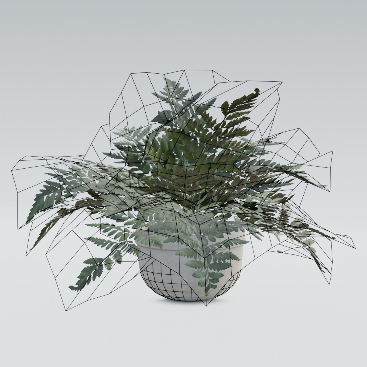 Plant Pack 1 Low-poly 3D model_21