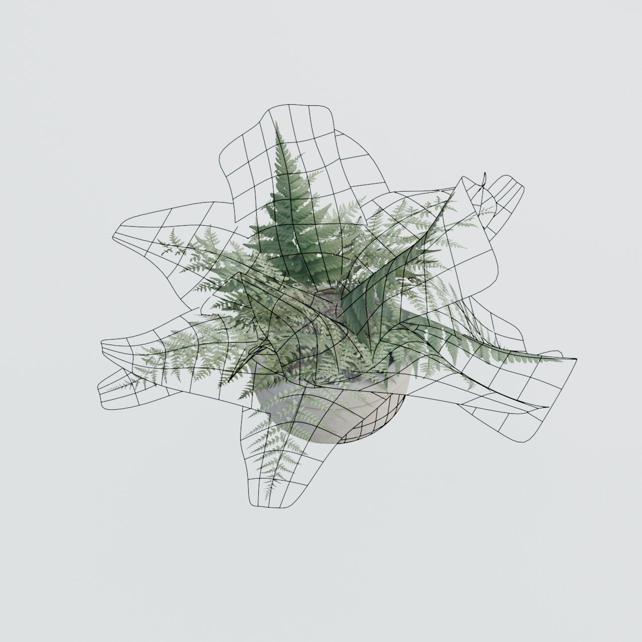 Plant Pack 1 Low-poly 3D model_18