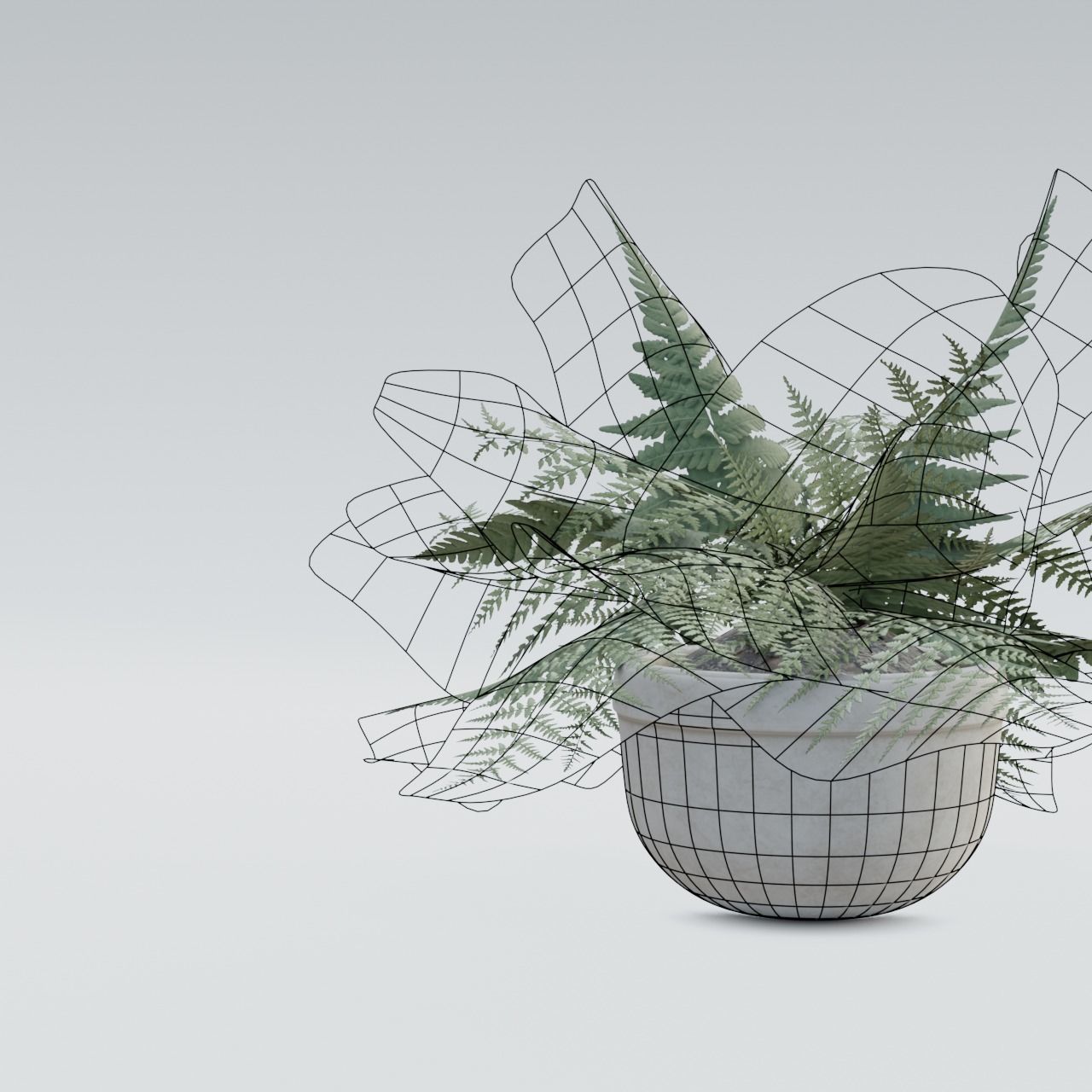 Plant Pack 1 Low-poly 3D model_19