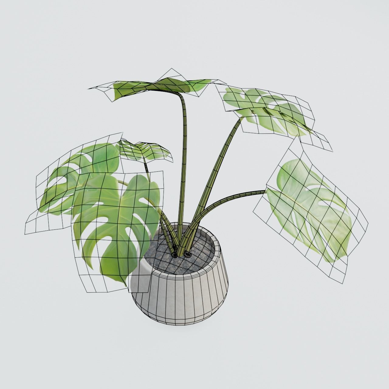 Plant Pack 1 Low-poly 3D model_16