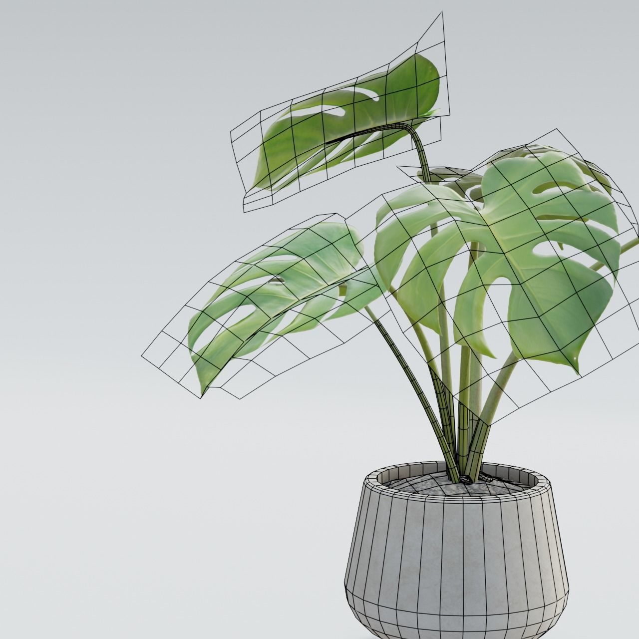 Plant Pack 1 Low-poly 3D model_17