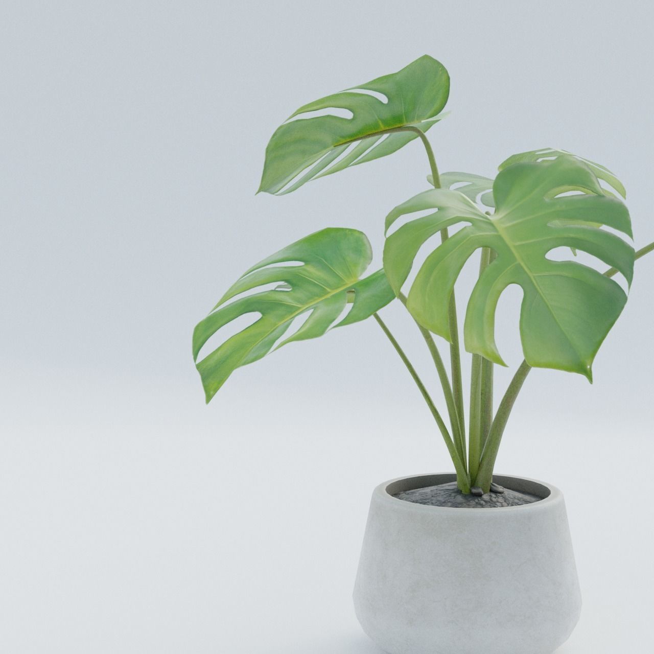 Plant Pack 1 Low-poly 3D model_6