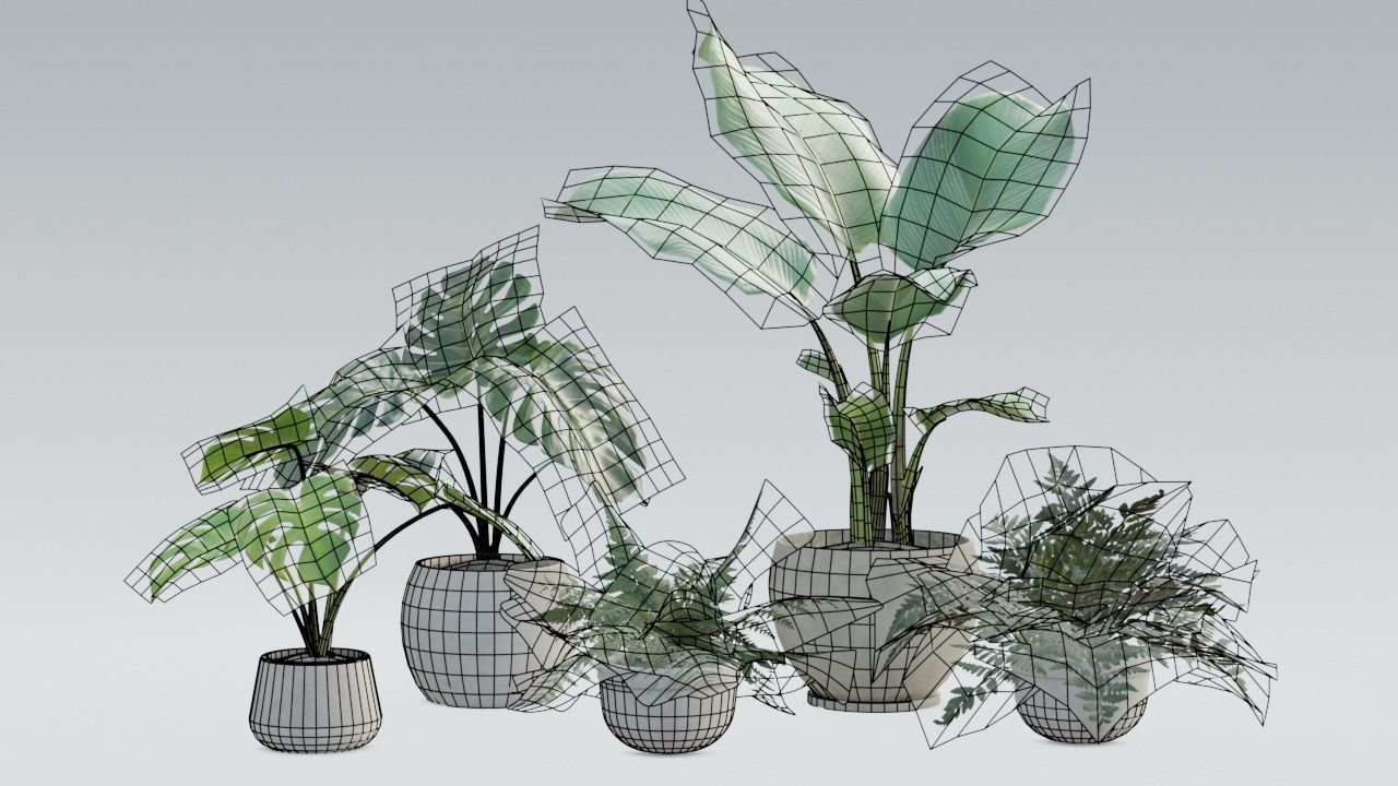 Plant Pack 1 Low-poly 3D model_22