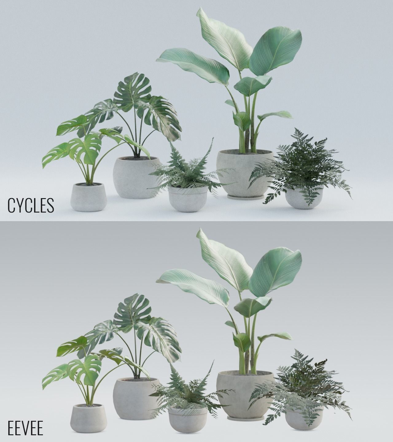 Plant Pack 1 Low-poly 3D model_11