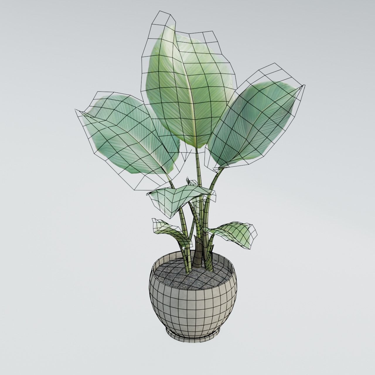 Plant Pack 1 Low-poly 3D model_14