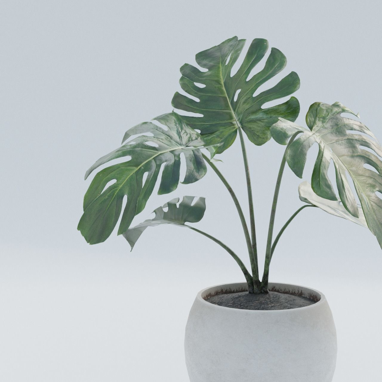 Plant Pack 1 Low-poly 3D model_2