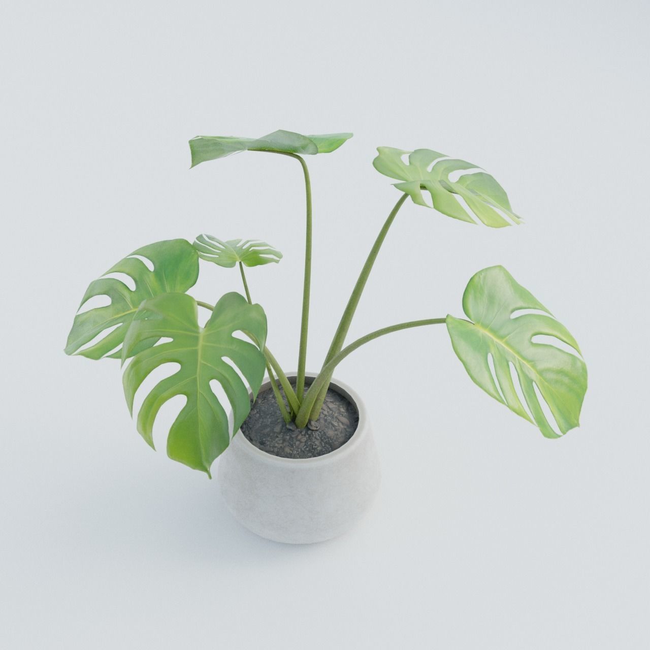 Plant Pack 1 Low-poly 3D model_5