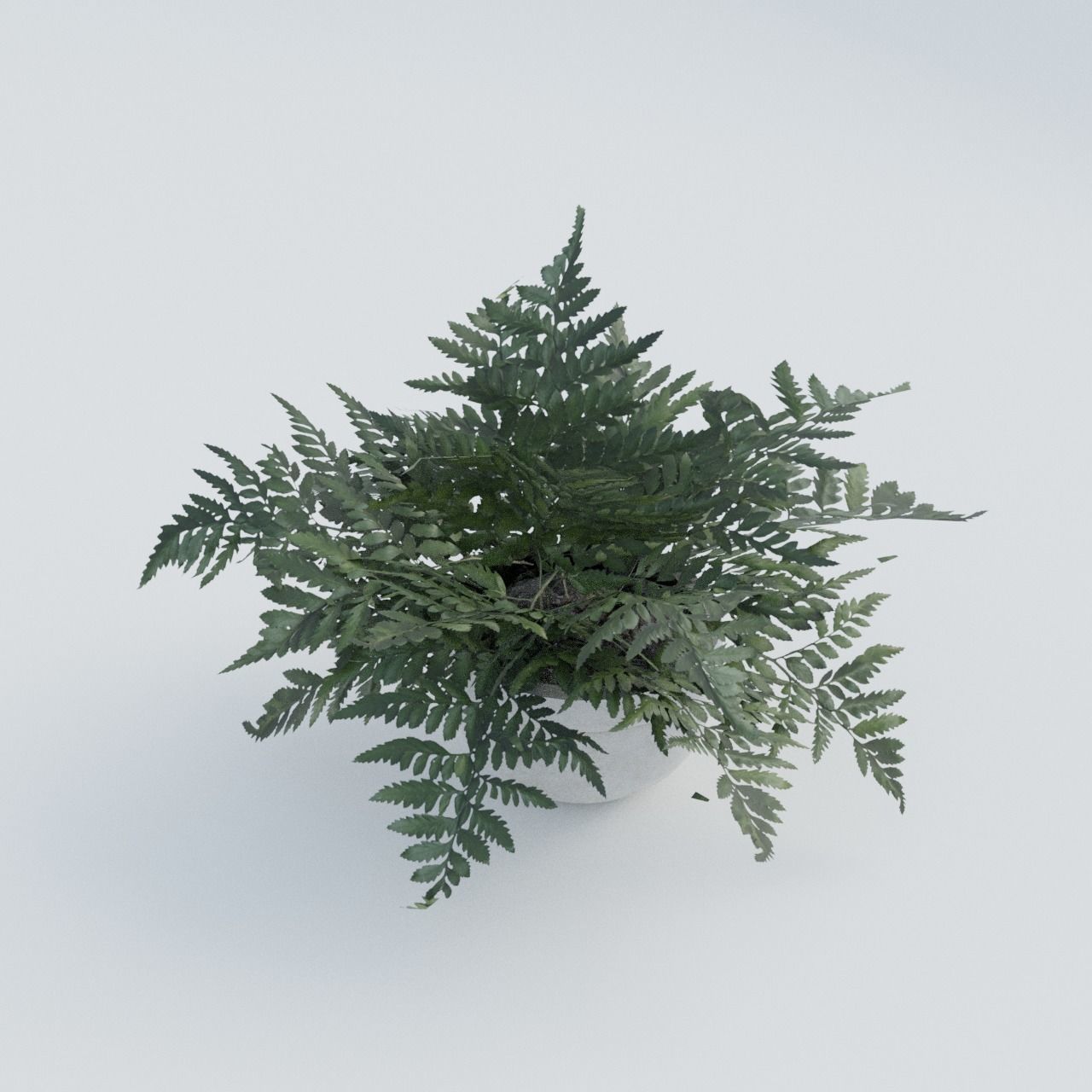 Plant Pack 1 Low-poly 3D model_9