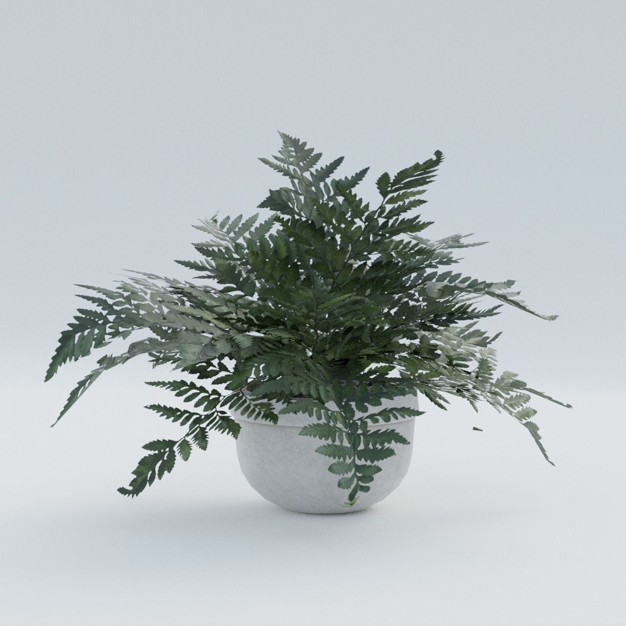 Plant Pack 1 Low-poly 3D model_10