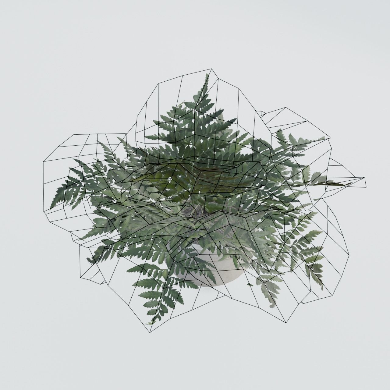 Plant Pack 1 Low-poly 3D model_20