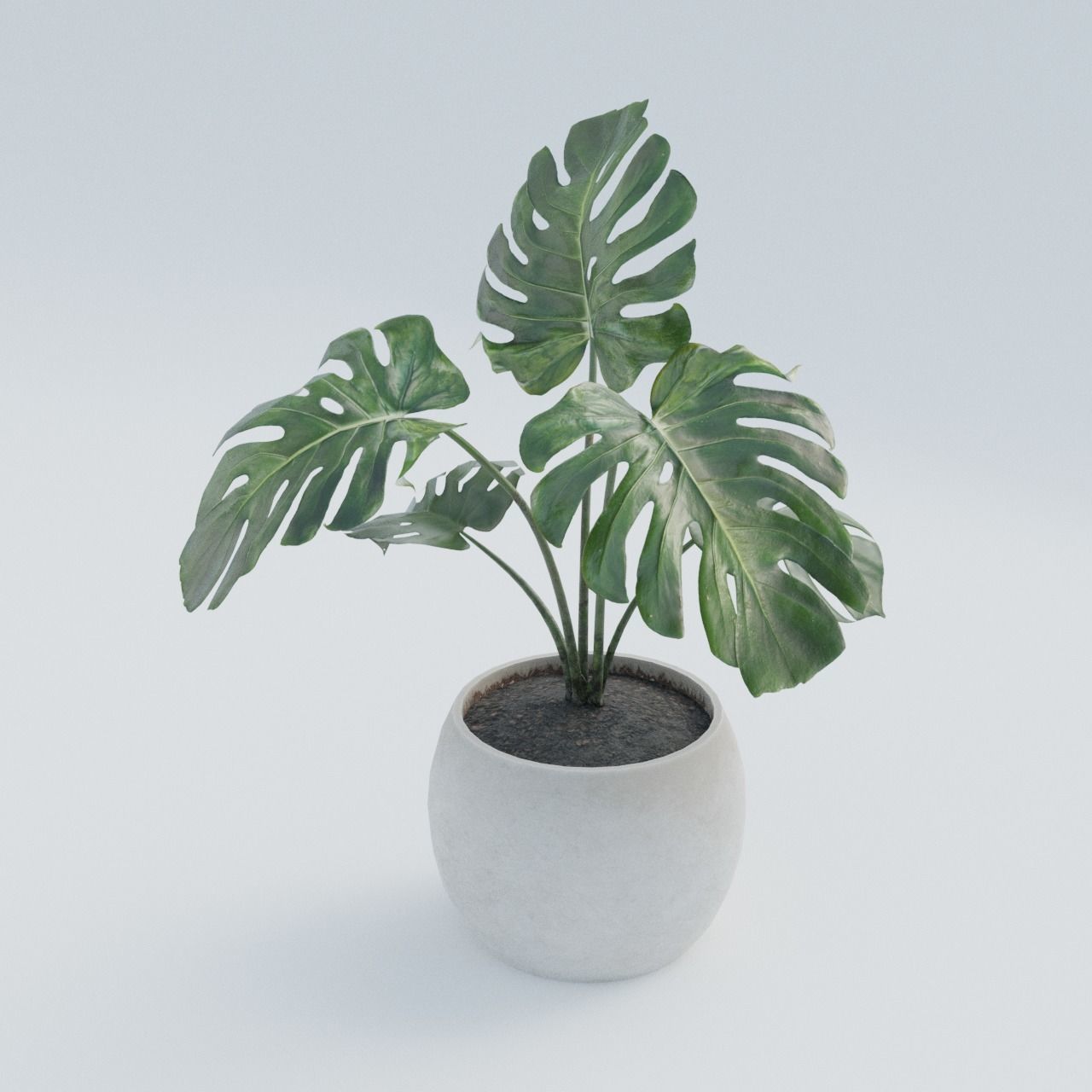 Plant Pack 1 Low-poly 3D model_1