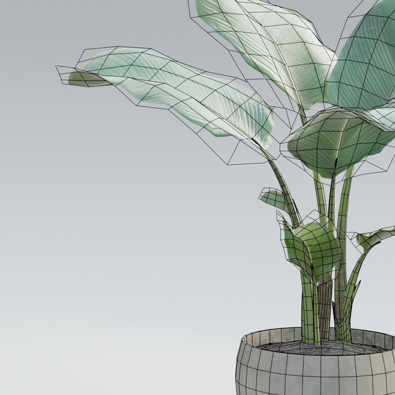 Plant Pack 1 Low-poly 3D model_15
