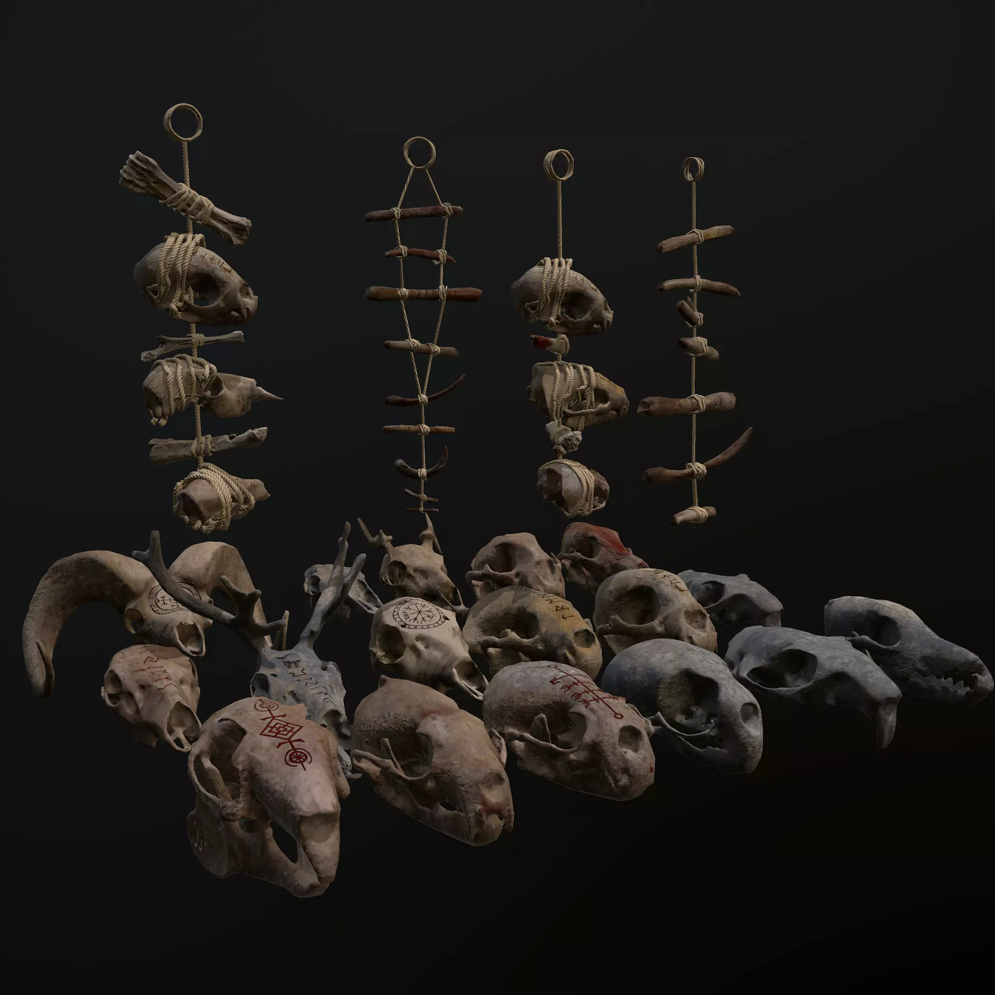 Bones animals Low-poly 3D model