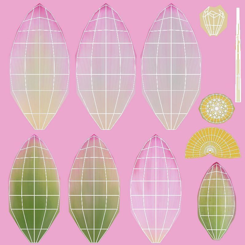 Lotus Collection vol07  Low-poly 3D model_8