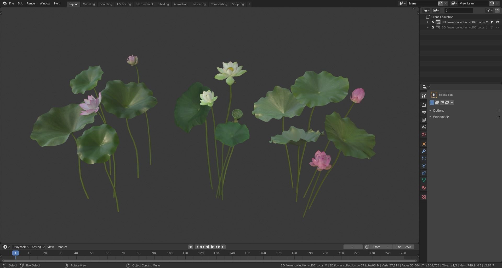 Lotus Collection vol07  Low-poly 3D model_10