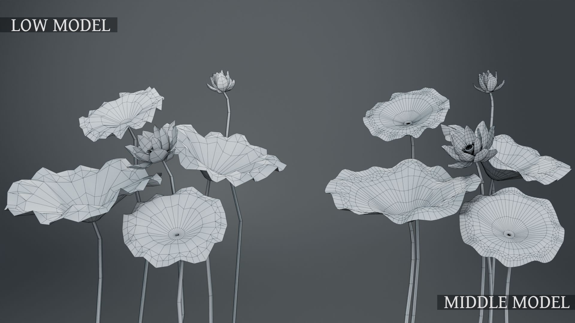 Lotus Collection vol07  Low-poly 3D model_5