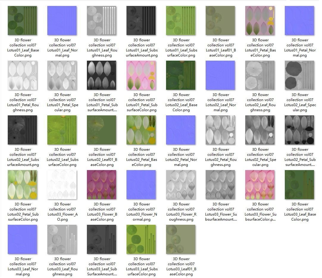 Lotus Collection vol07  Low-poly 3D model_9