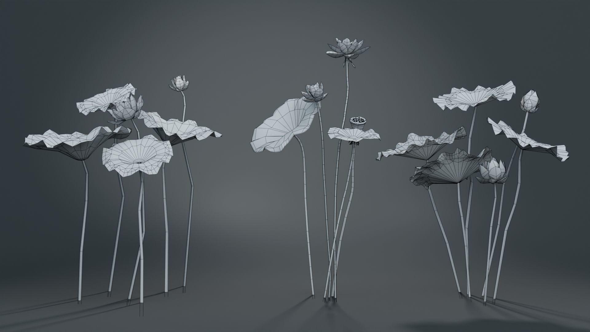 Lotus Collection vol07  Low-poly 3D model_4