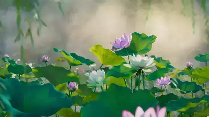 Lotus Collection vol07  Low-poly 3D model