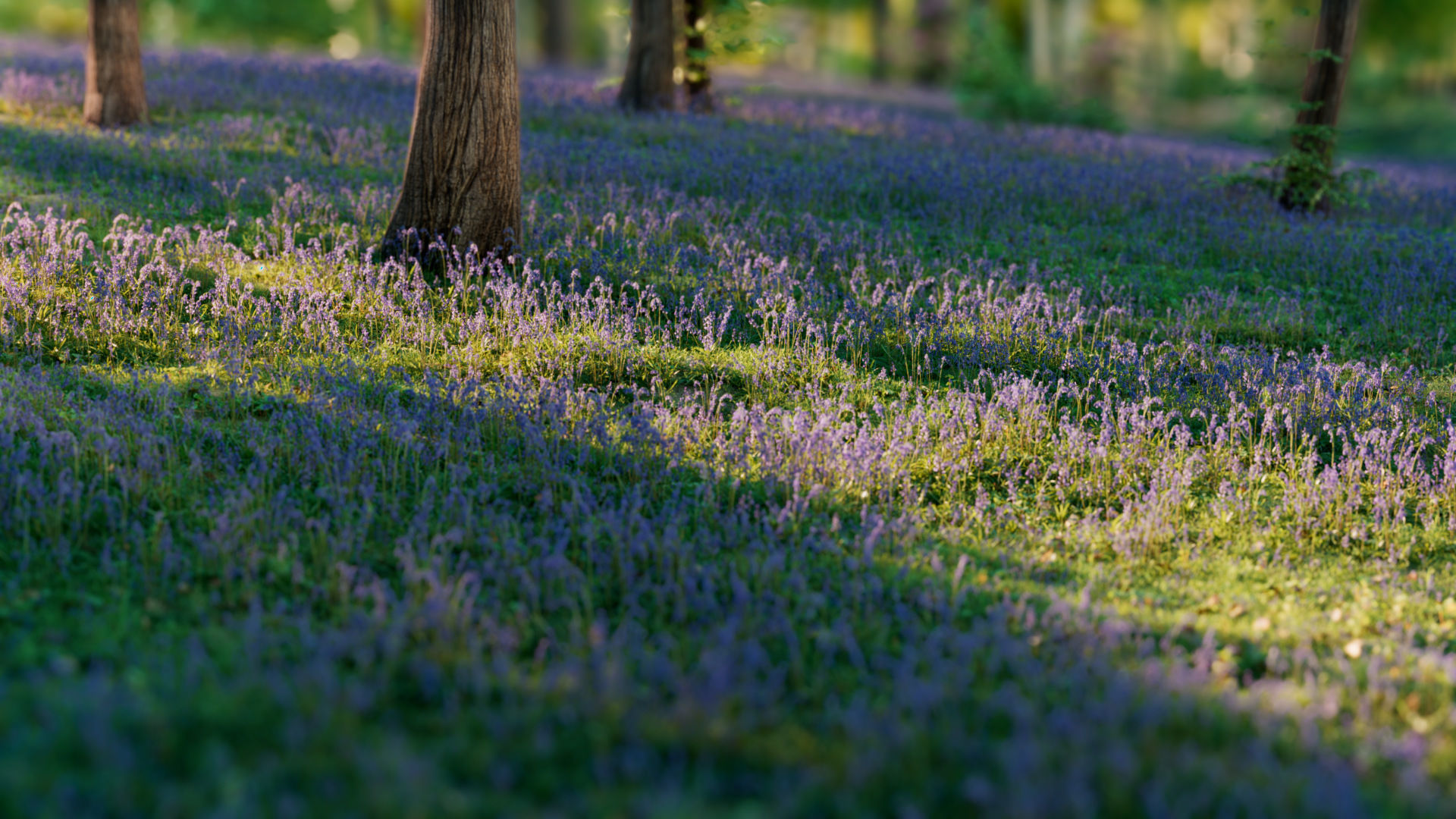 Bluebell Pack vol05 Low-poly 3D model_3