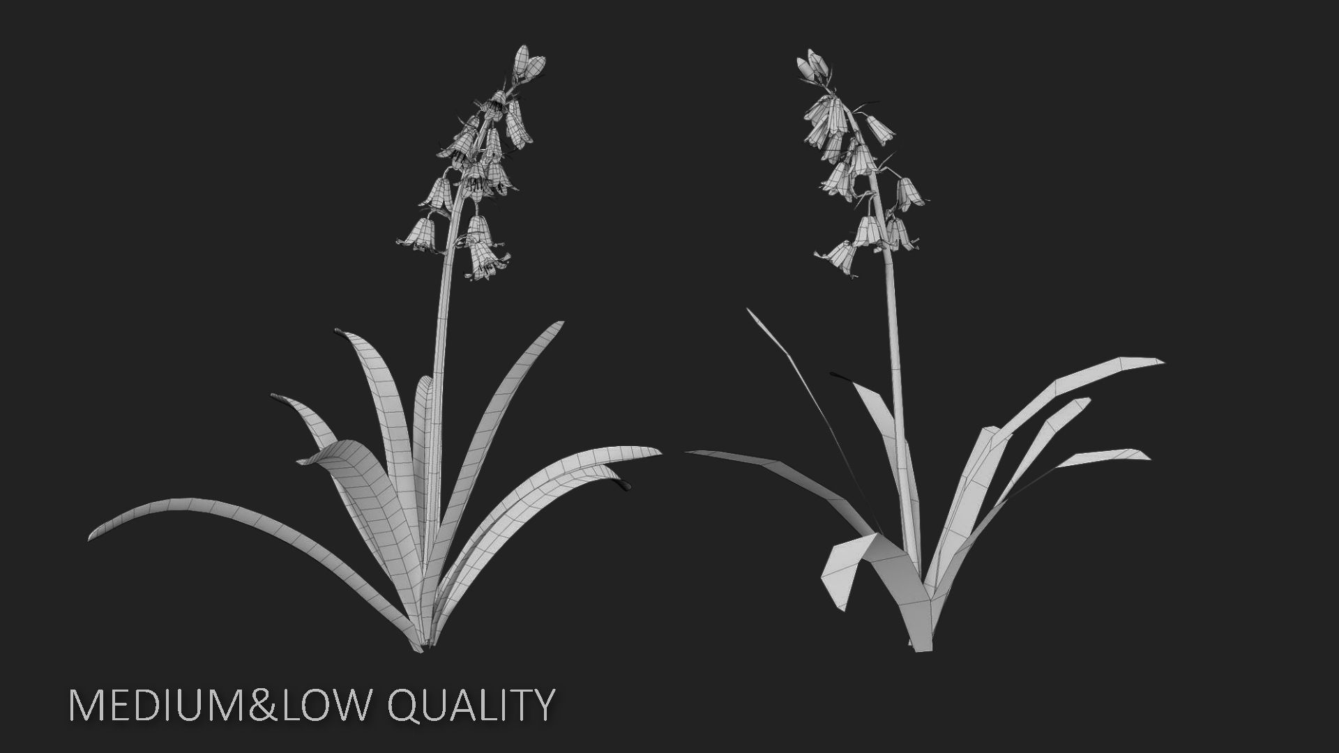 Bluebell Pack vol05 Low-poly 3D model_10