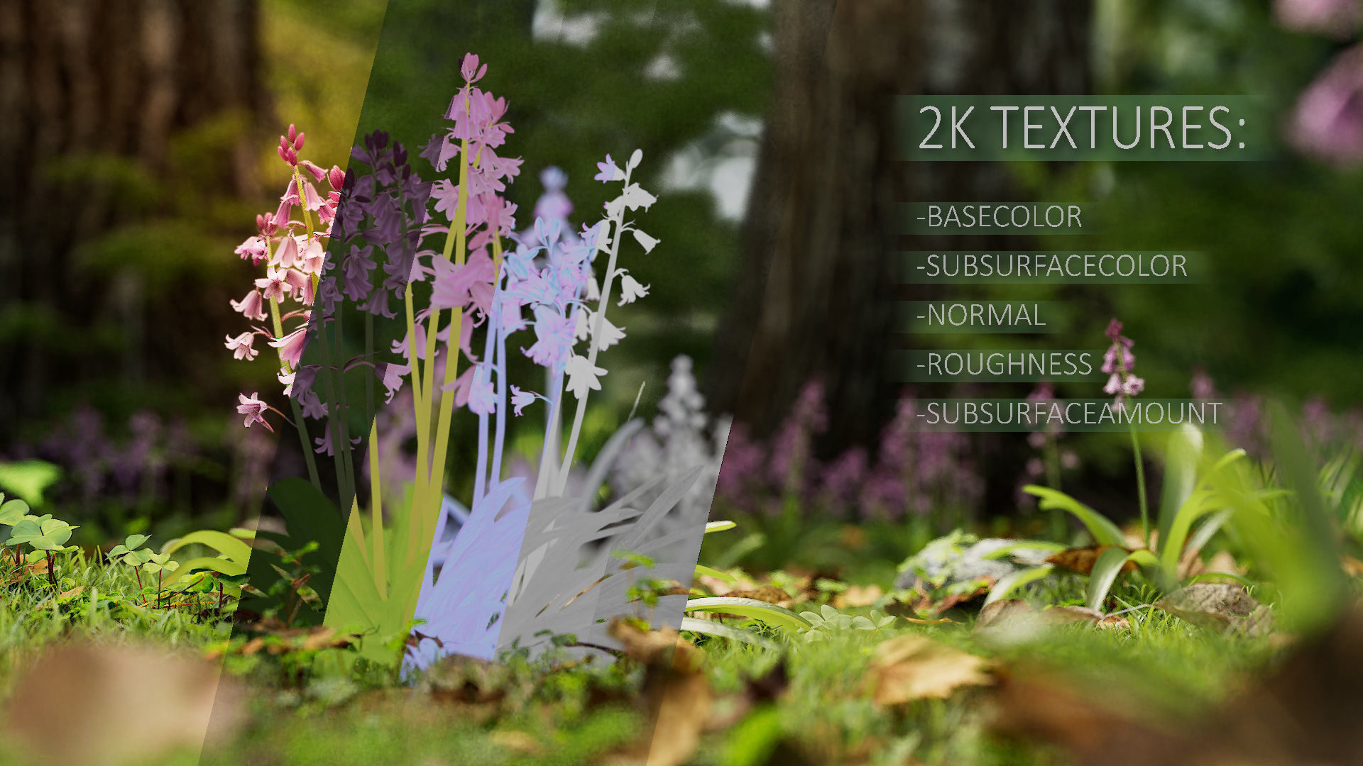Bluebell Pack vol05 Low-poly 3D model_5