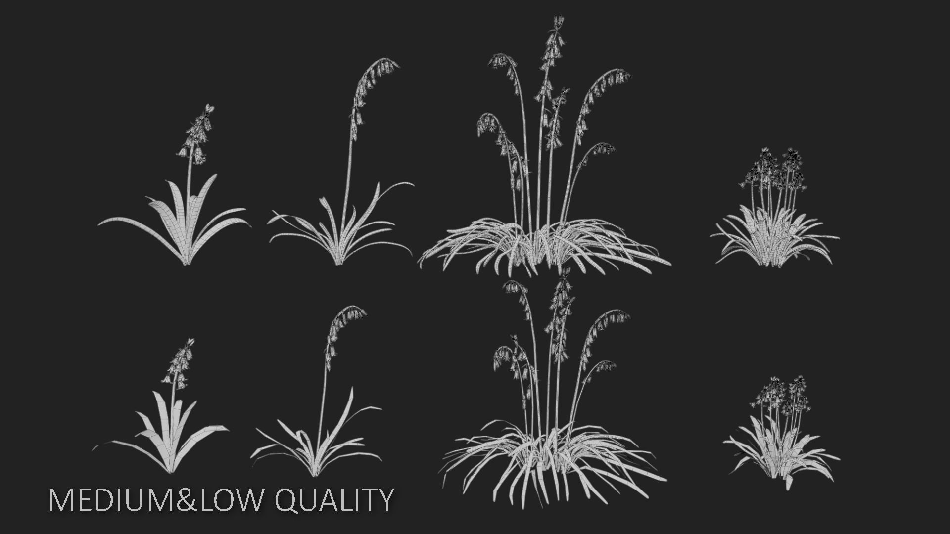 Bluebell Pack vol05 Low-poly 3D model_9