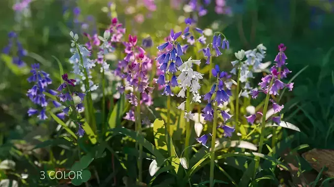 Bluebell Pack vol05 Low-poly 3D model