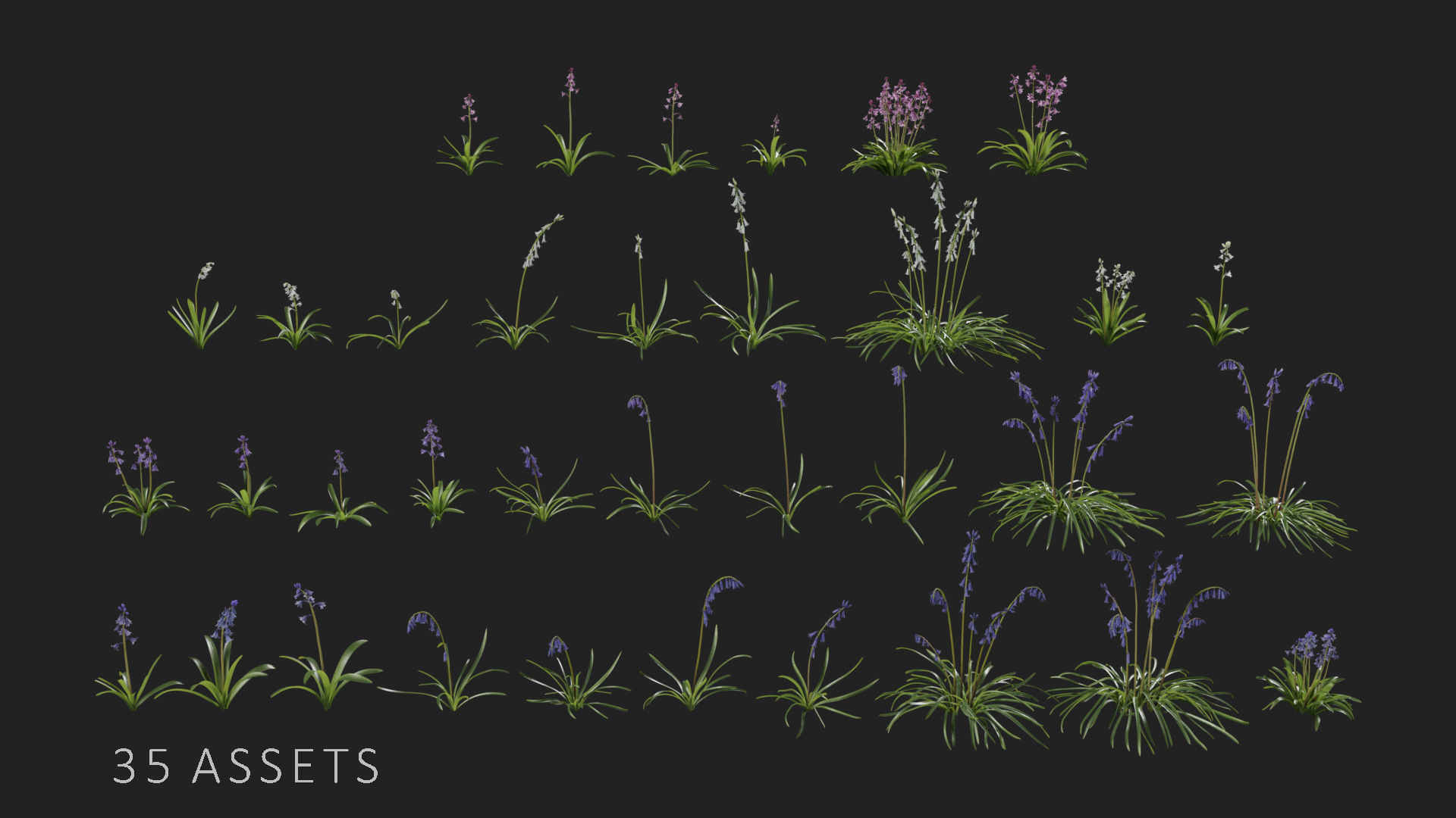 Bluebell Pack vol05 Low-poly 3D model_6